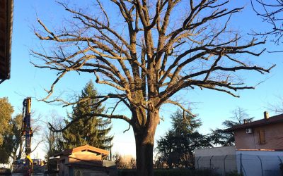 Siamo alle porte dell’inverno, noi ci stiamo preparando…..